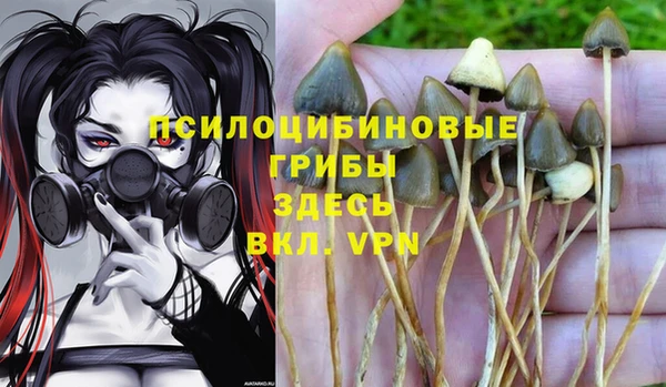 гашишное масло Кукмор